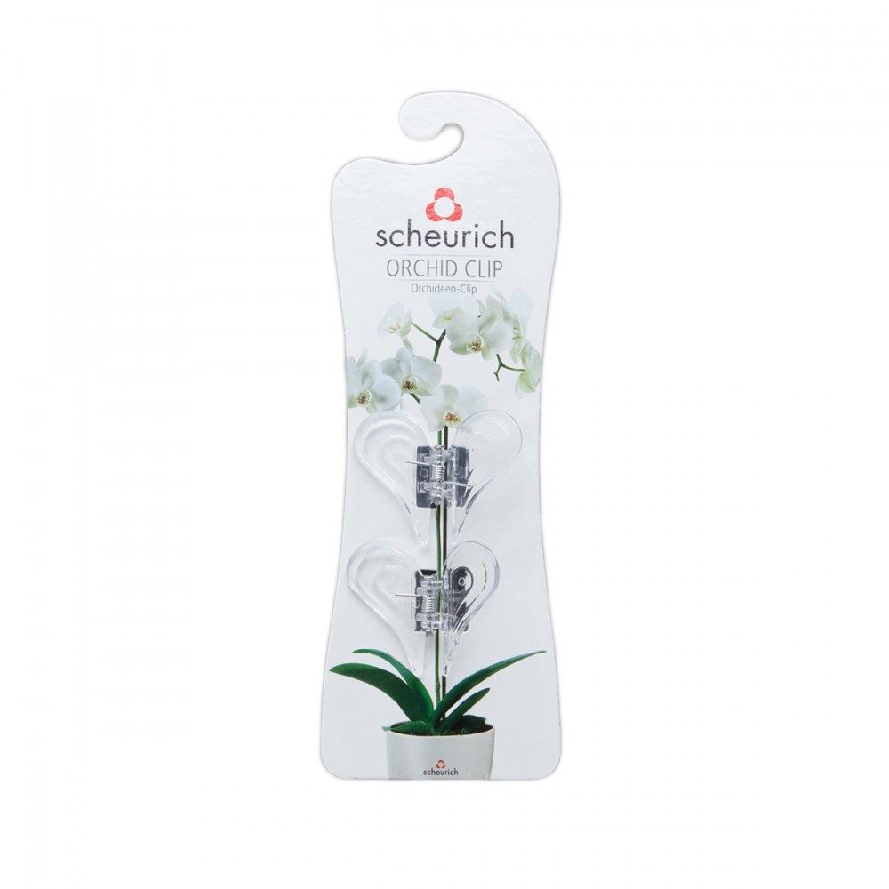 Vasi Trasparenti Per Orchidee.Clips Trasparenti Per Orchidee Viridea